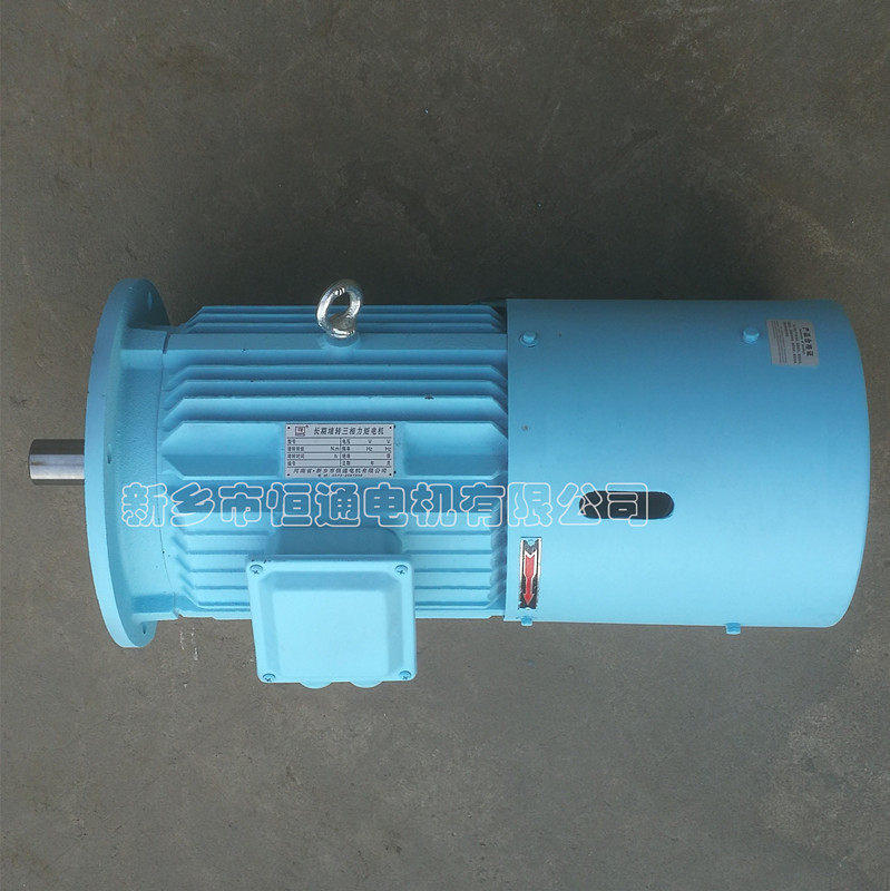 Long-term stall torque motor。